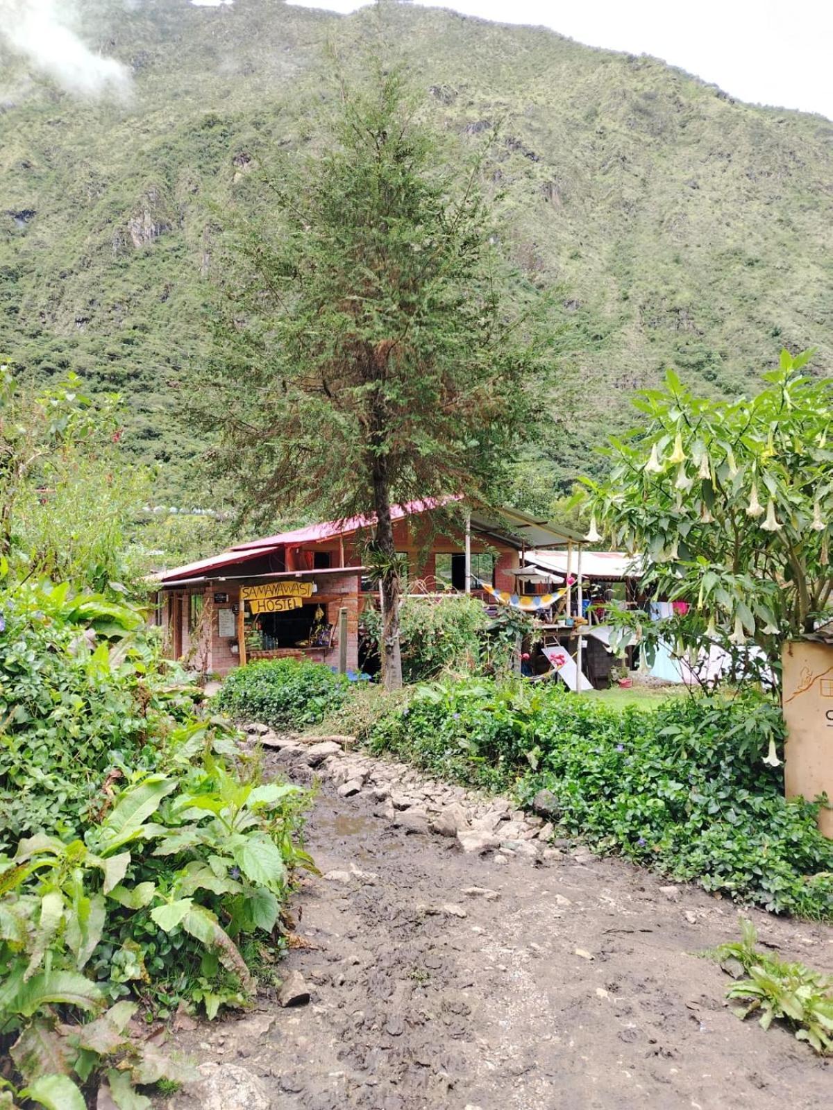 Hostel Samana Wasi Chaullay كوسكو المظهر الخارجي الصورة